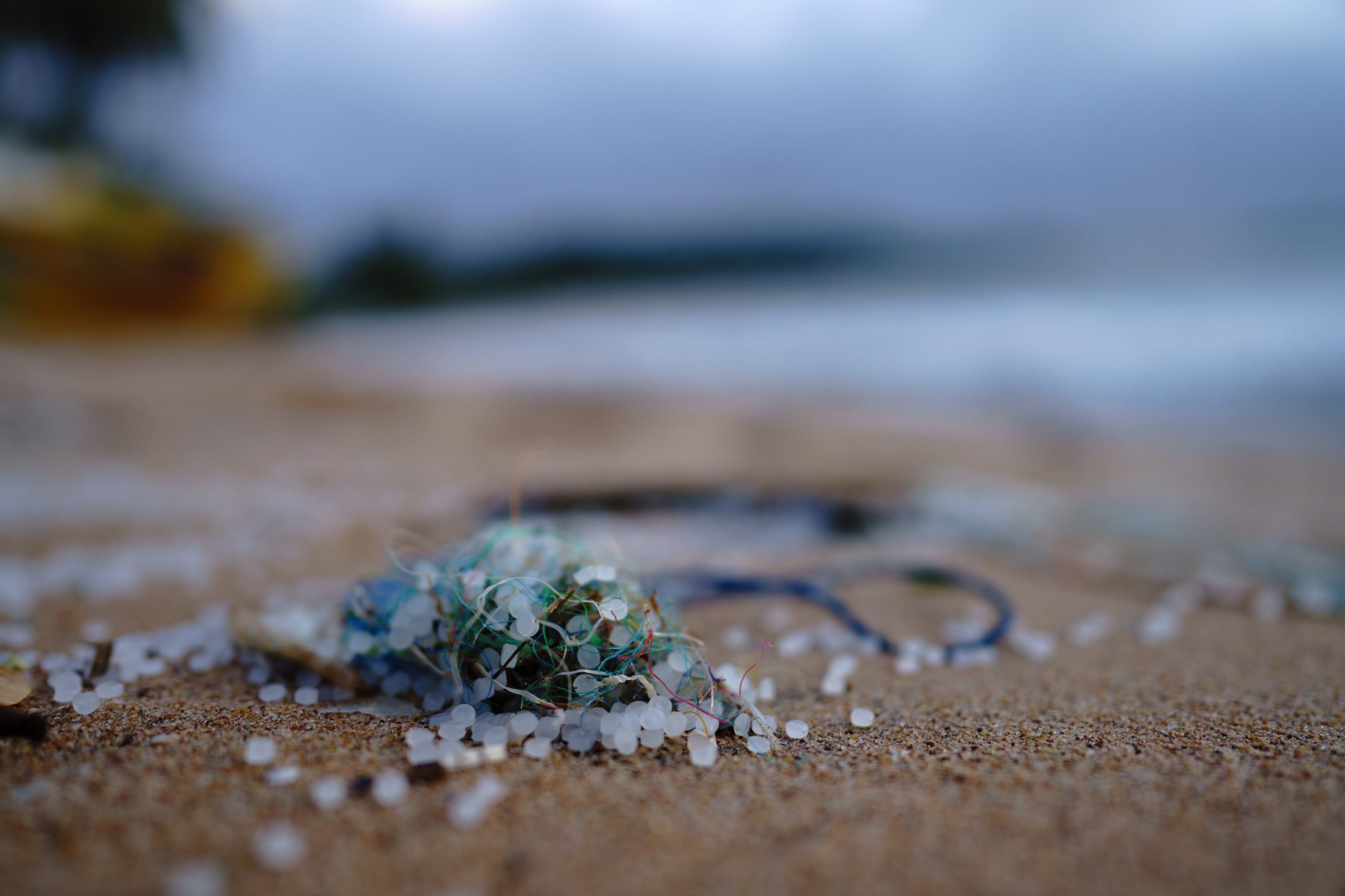 Photo of microplastics